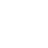 2020 ETS Icon BrandNewBodyTruckBuilds0